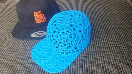 TPU Snapback voroni style   