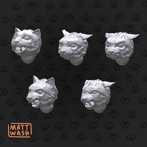 Guard - Angry Short Hair House Cats