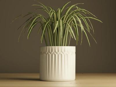Plant Pot #3   