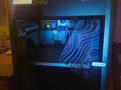 P1S Door Cam Privacy & Design