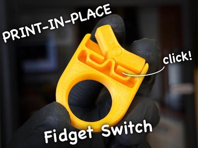 Fidget Switch