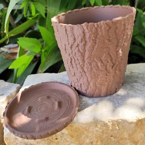 Tree Bark Flower Pot with Tree Ring Drip Tray